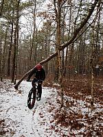A Snowy Day in the Woods 4